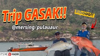 Trip GASAK MersingPulauAur May 2023  Boat Fishing Malaysia [upl. by Cross]