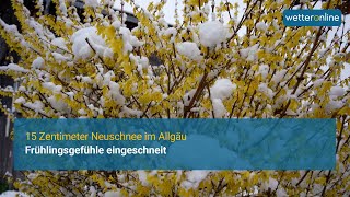 Frühlingsgefühle eingeschneit  15 Zentimeter Neuschnee über Nacht [upl. by Nielson57]