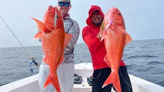 Slow Pitch Jigging in the Maldives with Temple Reef [upl. by Yrrum]