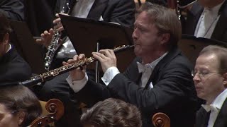 Brahms Symphony No 1 oboe solo Albrecht Mayer [upl. by Yecart]