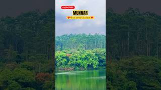 Places to visit in Munnar❤️tourism munnar love viralvideo vibes shots trending ytshorts [upl. by Mateya]