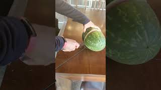 Cutting up my baby pickleman sandia watermelon fyp plants seeds garden [upl. by Emlynne]