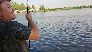 2023 Bungsamran Thailand Monster Mekong Cat Fishing Part 2 曼谷眉公鲶钓游 2 [upl. by Anal]