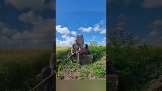 Views From The Highest Point In Barnstaple North Devon [upl. by Garett]