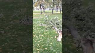 Wind Storm Damage Downtown Regina [upl. by Huskamp]