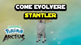 Come evolvere Stantler in Wyrdeer su Pokemon Arceus [upl. by Annatnas]