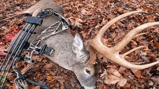 GIANT BUCK Missouri Bowhunting 2024 [upl. by Lita]