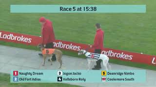 Crayford Greyhounds Races on 15th November 2024 [upl. by Hermon814]