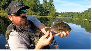 Summertime Fishing for BASS BLUEGILLS and Anything Else [upl. by Arihsan]