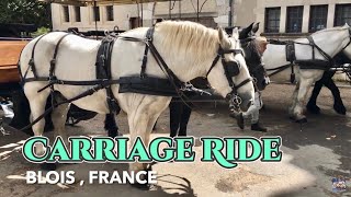 Horsedrawn carriage rides  Blois 🇫🇷 Les Attelages du Château • Balade en Calèche 🏰 Blois FRANCE [upl. by Salmon]