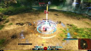 Gw2 Firebrand Benchmark 41380 June 25th Patch [upl. by Aidile618]