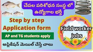 ICAR CMFRI Recruitment 2024CMFRI Field Assistant notification CMFRI field assistant AP Fisheries [upl. by Eiffub]