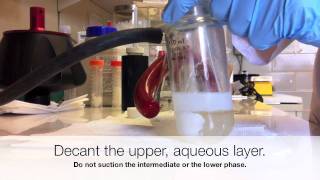 Extraction of E coli K1 Capsular Polysaccharides [upl. by Aro]