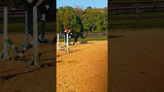 Jumping bare back horse barn horsebarn [upl. by Janetta]