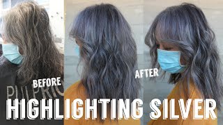 Hair Transformations with Lauryn Natural Salt and Pepper Grey Hair Technique Ep 129 [upl. by Yllaw336]