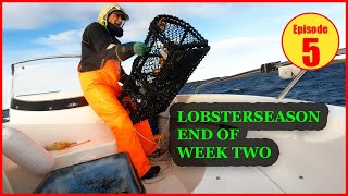 Fishing for LOBSTER off the coast of Norway Hauling the pots in strong winds HUMMERFISKE 2023 [upl. by Shwalb]