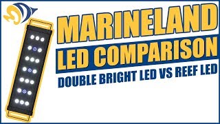 Marineland LED Comparison Double Bright LED vs Reef LED [upl. by Rosalinde]