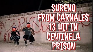 SURENO WENT TO PRISON FOR THESE CHARGES😳🫢AND WAS HIT IN CENTINELA PRISON trending crimestory [upl. by Winer566]