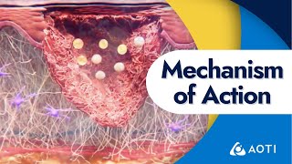 TWO2 Mechanism of Action [upl. by Durgy]