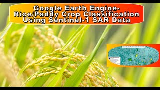 How to Classify Paddy Fields with Sentinel 1 SAR Data in Google Earth Engine [upl. by Aerdnaek]