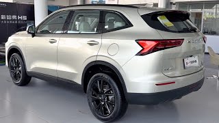 GWM Haval H6 2024 indepth Walkaround [upl. by Aras117]