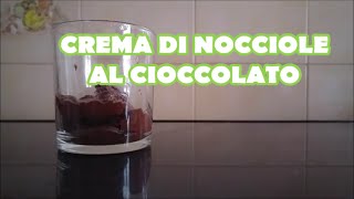 Ricetta della Crema di nocciole al cioccolato senza latte fatta in casa Gruppi 0 A [upl. by Gabbert217]