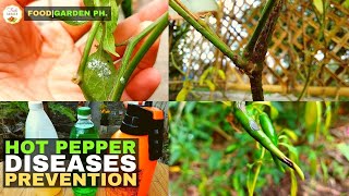 Mabisang solusyon sa mga sakit ng SiliSolution for hot pepper diseasesFoodGarden Ph [upl. by Airamanna875]