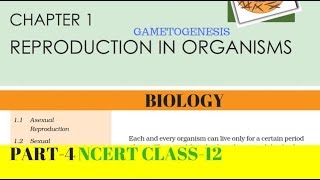 Part4 REPRODUCTION IN ORGANISMS chapter1 NCERT class 12th biology [upl. by Ahsirat109]