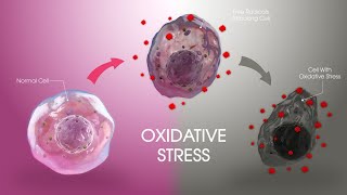 Oxidative stress and its effects on Plant botanyzoom [upl. by Roselin]