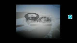 PolyGram Video 1986 VHS UK Logo [upl. by Sheedy274]