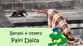 Pairi Daiza Orang oetan Berani en de otters [upl. by Mandy307]