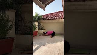 reproductivehealth digestion metabolism hamstrings spine hipopener yoga shortvideo pelvis [upl. by Amekahs407]