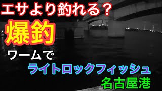 エサより釣れる？爆釣 ワームでライトロックフィッシュ 名古屋港 [upl. by Rangel623]