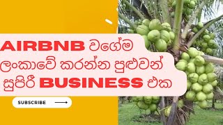 AirBnB වගේම ලංකාවට ඔබින business model එකtellers academysri srilanka business binance colombo [upl. by Ermanno]