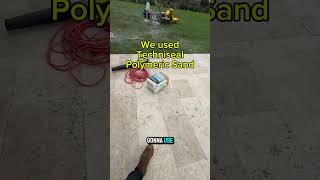 How to lay paver sand Poly Sand shorts [upl. by Alburg877]