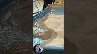 Geoscience Lab Stream Table Demonstration science [upl. by Azer508]