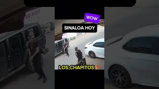 Los chapitos disparan a carro en Sinaloa narcosmexico sinaloa narcos culiacan ejércitomexicano [upl. by Damalis]