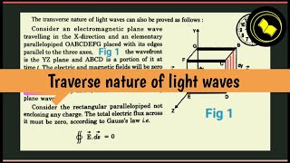 Transverse nature of light waves [upl. by Ahsikcin43]