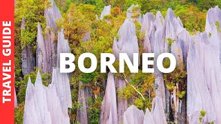 Borneo Malaysia Travel Guide 17 BEST Things To Do In Borneo [upl. by Adigun41]