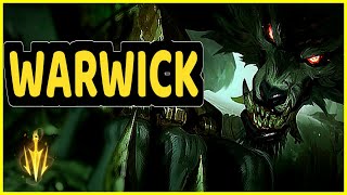 WARWICK JUNGLE HIGHLIGHTS [upl. by Nrobyalc]