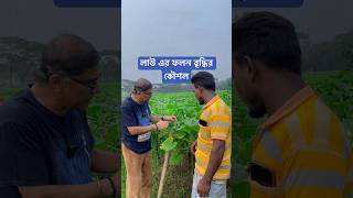 লাউ এর ফলন বৃদ্ধির কৌশল। [upl. by Naugal]