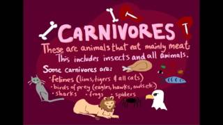 Herbivore Carnivore Omnivore Rap [upl. by Takara]