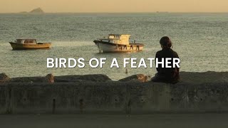 BIRDS OF A FEATHER Lyrics video song by  Billie Eilish [upl. by Neelear]