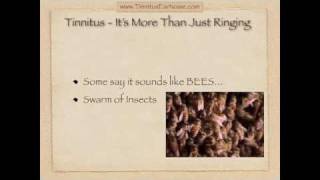 Tinnitus and Ear Noise Its More Than Just Ringing [upl. by Ailehc]