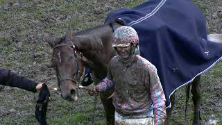 Maienfeld  13102024  PFERDERENNEN IN MAIENFELD BAD RAGAZ Highlights of the day [upl. by Yhtomiht78]