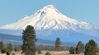 2024 Deschutes River Spring Salmon Fishing [upl. by Grange901]