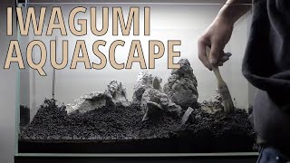 🌱 Setting up Nature Aquarium Aquascape  Planted Tank Iwagumi [upl. by Haroun790]