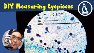 🔬 Microscope hack DIY Eyepiece Reticle  Amateur Microscopy [upl. by Ikir461]