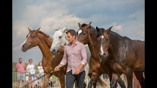 Meet Miron Bococi the Romanian Horse TrainerEN subtitles [upl. by Massimiliano]