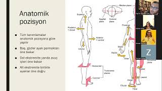 1Anatomiye giriş  Thorax hemşirelik ayay 1sınıf [upl. by Aristotle]